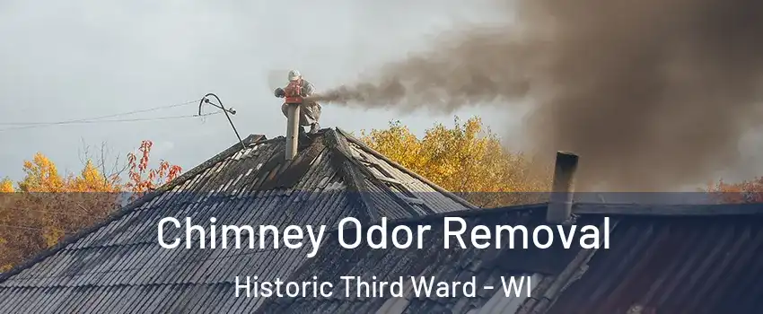 Chimney Odor Removal Historic Third Ward - WI