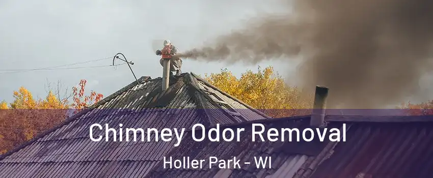 Chimney Odor Removal Holler Park - WI