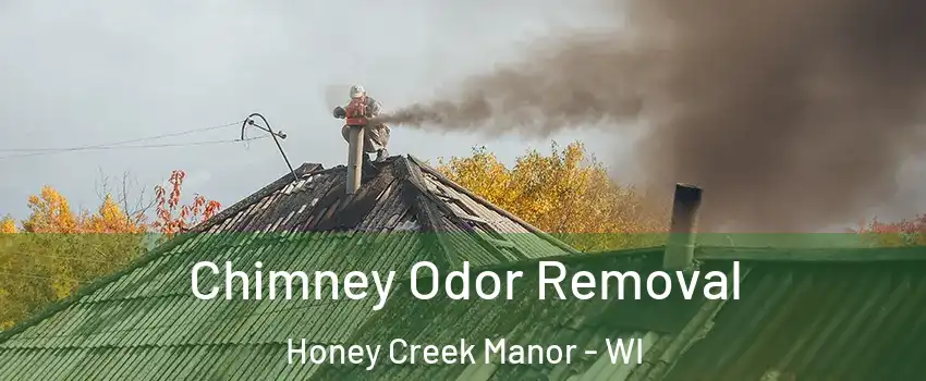 Chimney Odor Removal Honey Creek Manor - WI