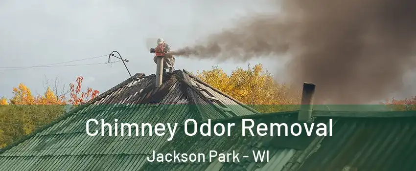 Chimney Odor Removal Jackson Park - WI