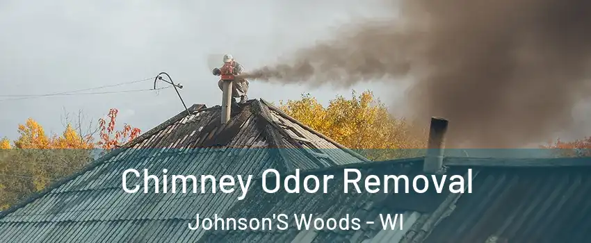 Chimney Odor Removal Johnson'S Woods - WI