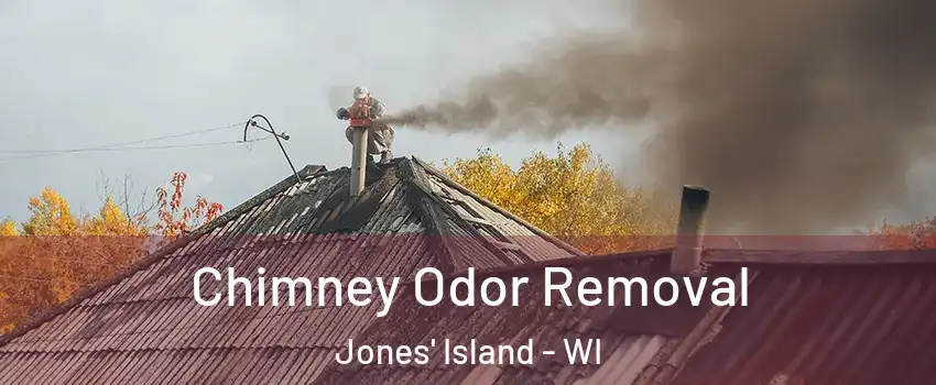 Chimney Odor Removal Jones' Island - WI