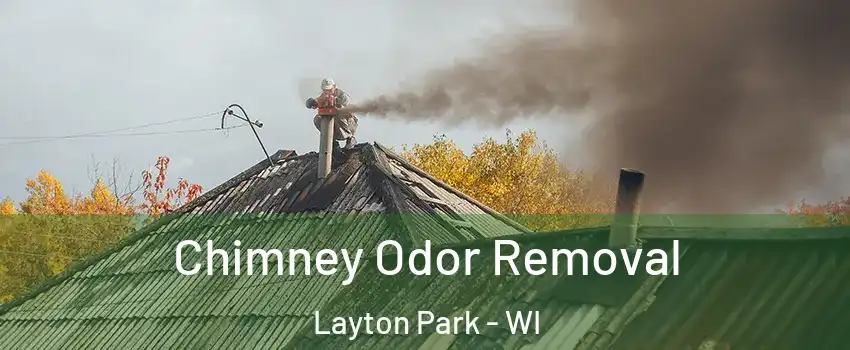 Chimney Odor Removal Layton Park - WI