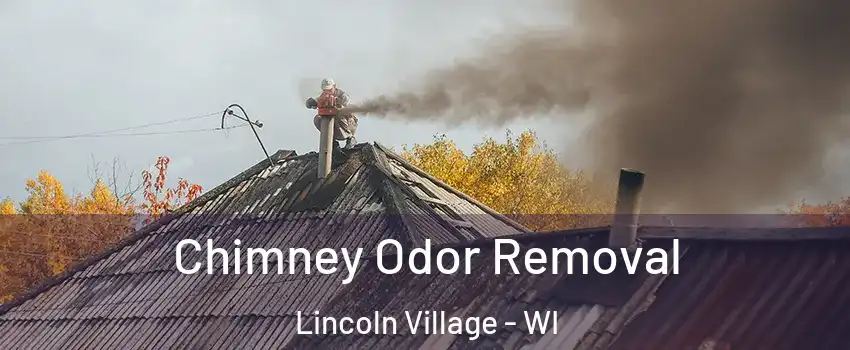 Chimney Odor Removal Lincoln Village - WI