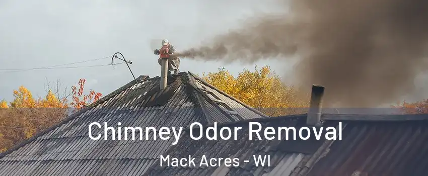 Chimney Odor Removal Mack Acres - WI