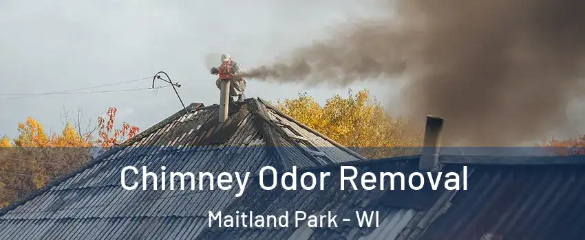 Chimney Odor Removal Maitland Park - WI