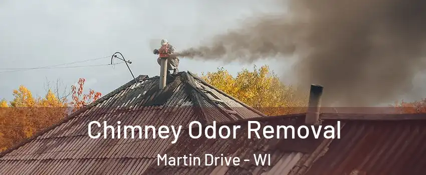 Chimney Odor Removal Martin Drive - WI