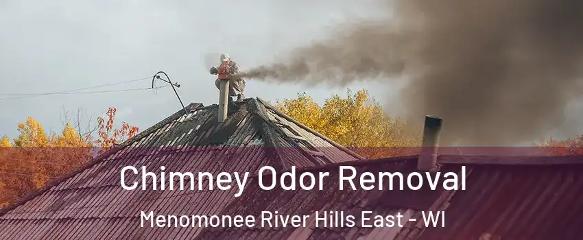 Chimney Odor Removal Menomonee River Hills East - WI