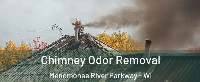 Chimney Odor Removal Menomonee River Parkway - WI