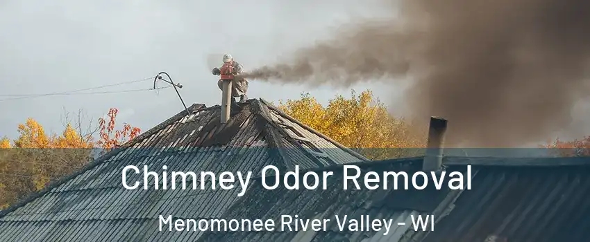 Chimney Odor Removal Menomonee River Valley - WI