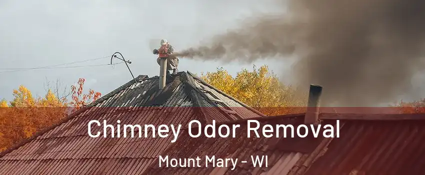 Chimney Odor Removal Mount Mary - WI