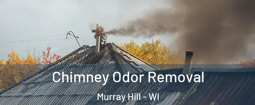 Chimney Odor Removal Murray Hill - WI