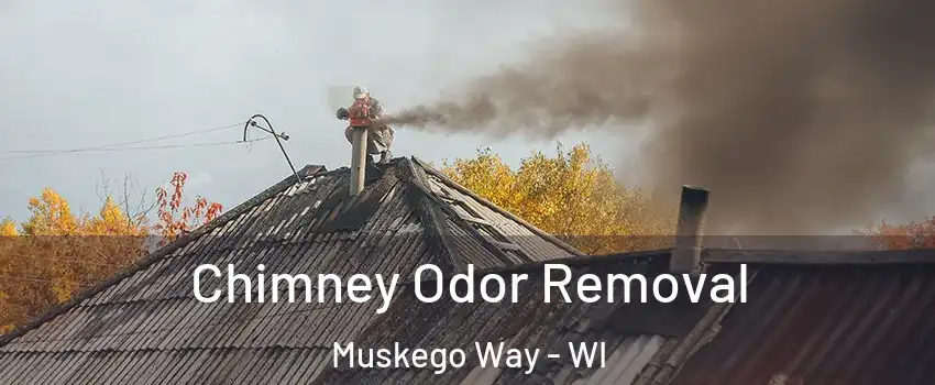 Chimney Odor Removal Muskego Way - WI