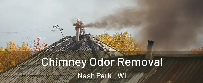 Chimney Odor Removal Nash Park - WI