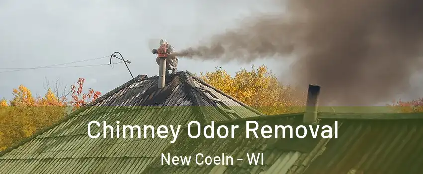 Chimney Odor Removal New Coeln - WI