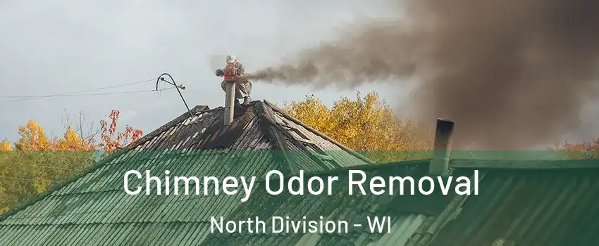 Chimney Odor Removal North Division - WI