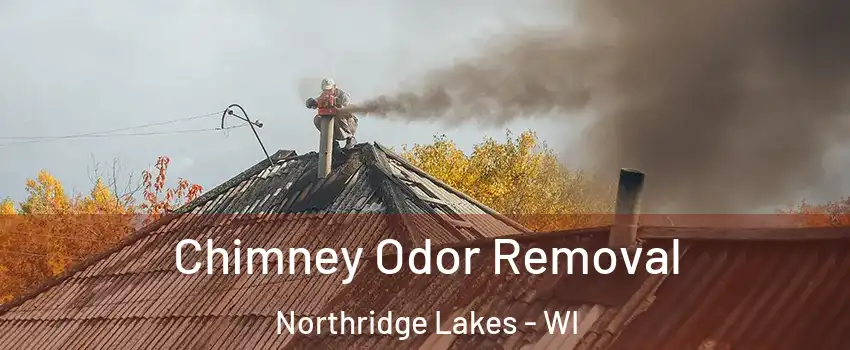 Chimney Odor Removal Northridge Lakes - WI