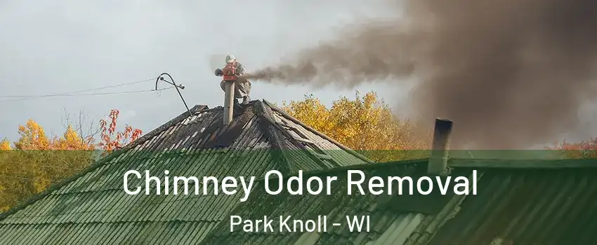 Chimney Odor Removal Park Knoll - WI