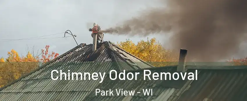 Chimney Odor Removal Park View - WI