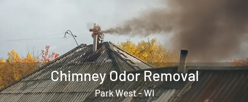 Chimney Odor Removal Park West - WI