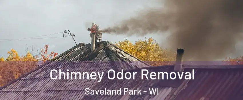 Chimney Odor Removal Saveland Park - WI