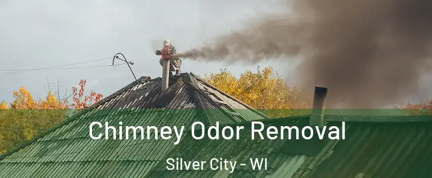 Chimney Odor Removal Silver City - WI