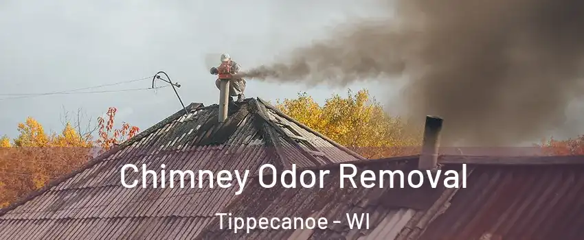 Chimney Odor Removal Tippecanoe - WI