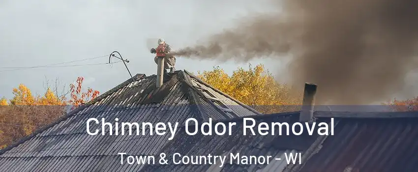 Chimney Odor Removal Town & Country Manor - WI