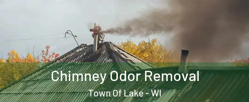 Chimney Odor Removal Town Of Lake - WI