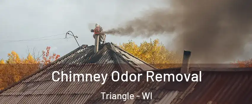 Chimney Odor Removal Triangle - WI