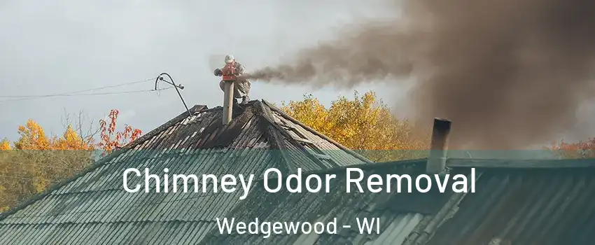 Chimney Odor Removal Wedgewood - WI