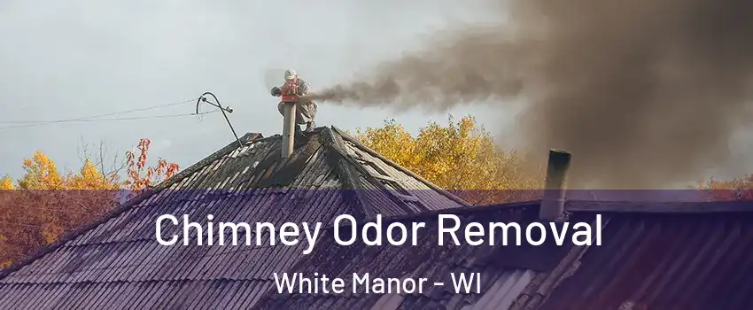 Chimney Odor Removal White Manor - WI