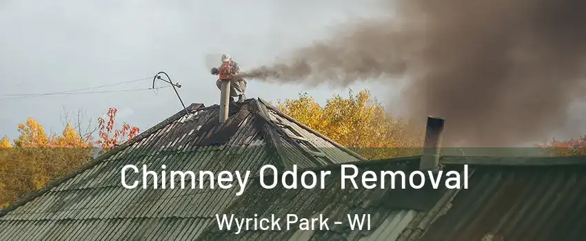 Chimney Odor Removal Wyrick Park - WI