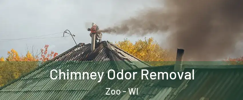 Chimney Odor Removal Zoo - WI