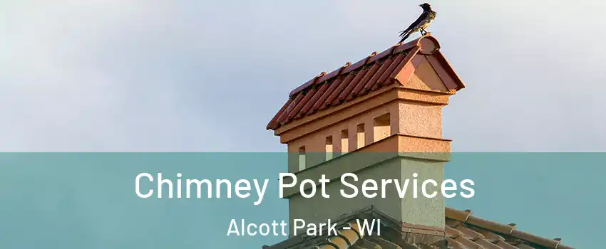 Chimney Pot Services Alcott Park - WI