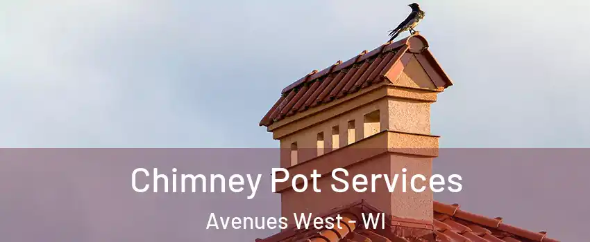 Chimney Pot Services Avenues West - WI