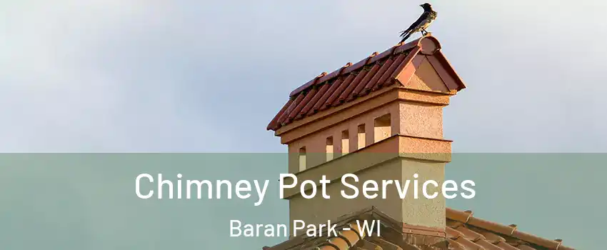 Chimney Pot Services Baran Park - WI