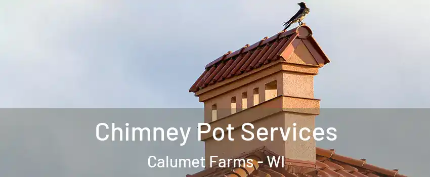 Chimney Pot Services Calumet Farms - WI