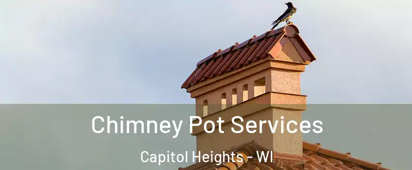 Chimney Pot Services Capitol Heights - WI