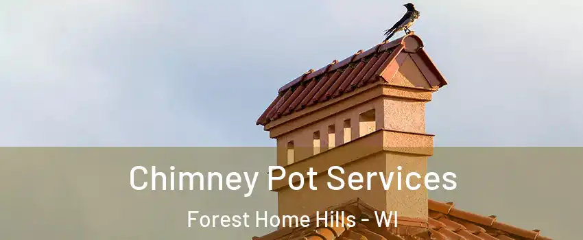 Chimney Pot Services Forest Home Hills - WI