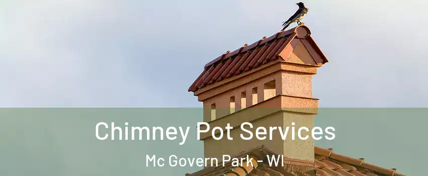 Chimney Pot Services Mc Govern Park - WI