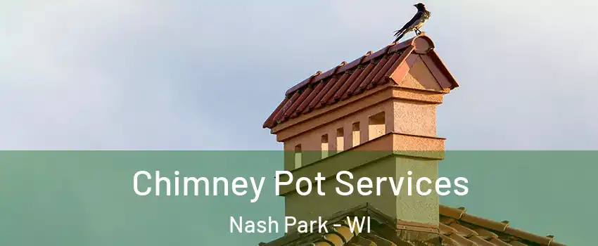 Chimney Pot Services Nash Park - WI