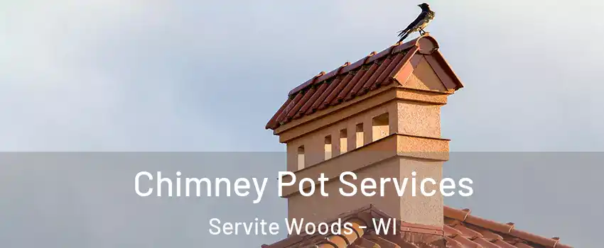 Chimney Pot Services Servite Woods - WI