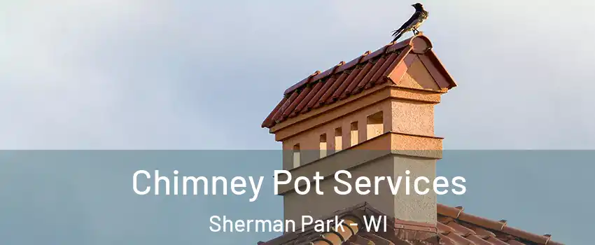 Chimney Pot Services Sherman Park - WI