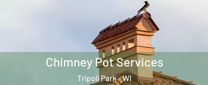 Chimney Pot Services Tripoli Park - WI