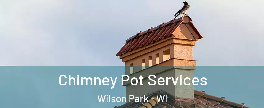 Chimney Pot Services Wilson Park - WI