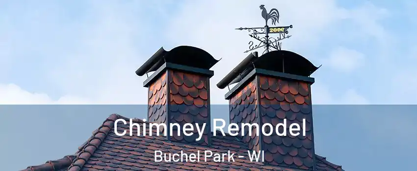 Chimney Remodel Buchel Park - WI