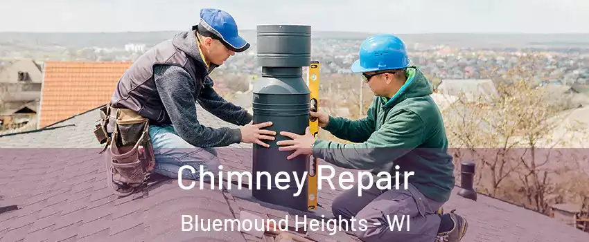 Chimney Repair Bluemound Heights - WI