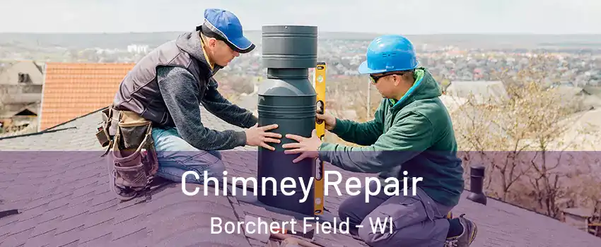 Chimney Repair Borchert Field - WI