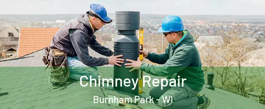 Chimney Repair Burnham Park - WI